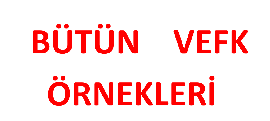 BÜTÜN VEFK ÖRNEKLERİ